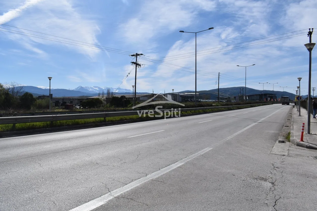 Αγροτεμάχιο 4875τ.μ.  - 2
