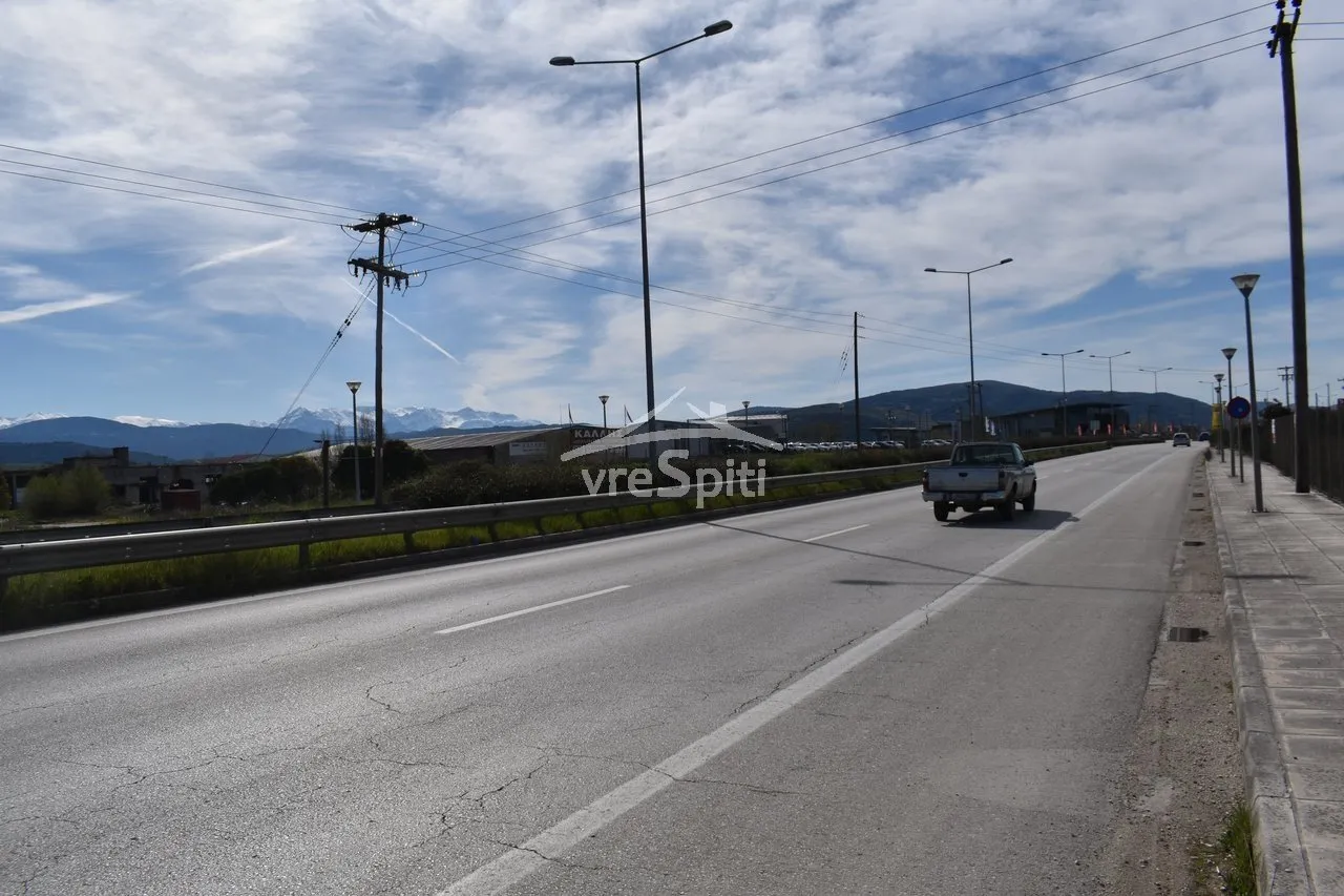 Αγροτεμάχιο 4875τ.μ.  - 3
