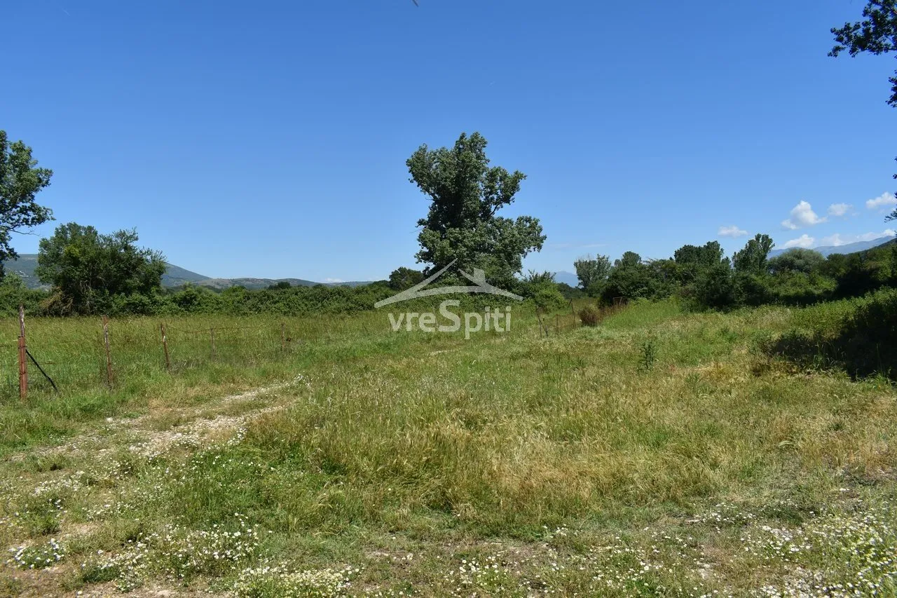 Αγροτεμάχιο 5000τ.μ.  - 2