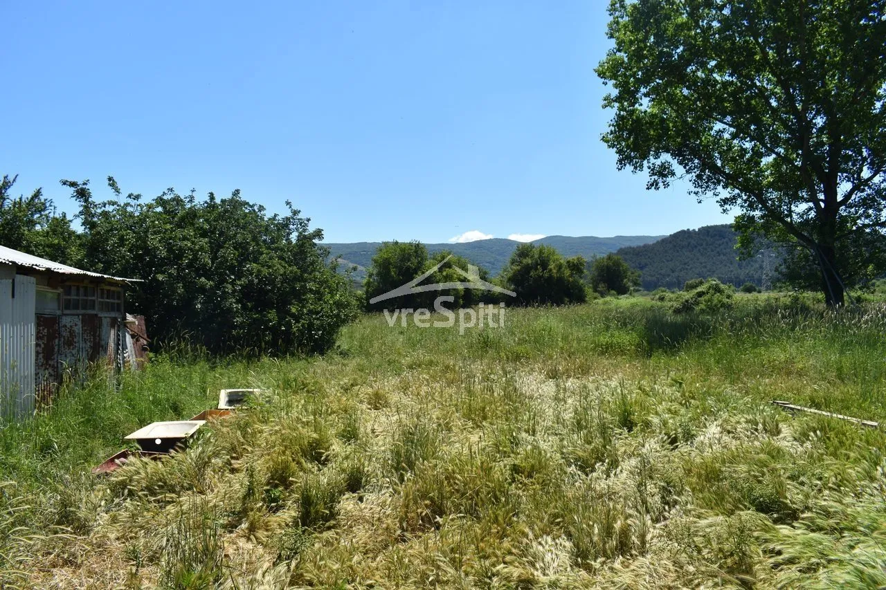 Αγροτεμάχιο 5000τ.μ.  - 5