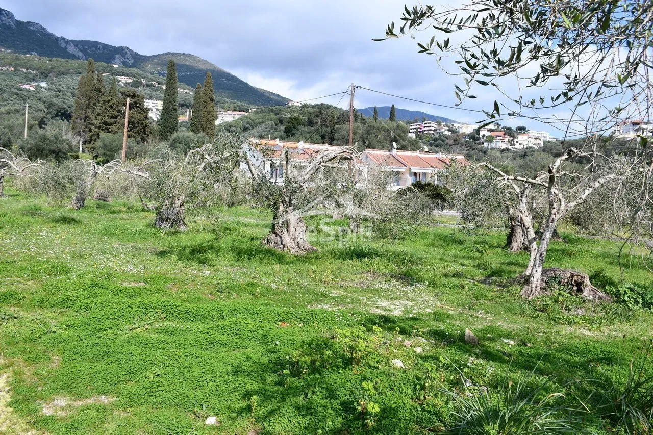 Οικόπεδο 4130τ.μ.  - 2