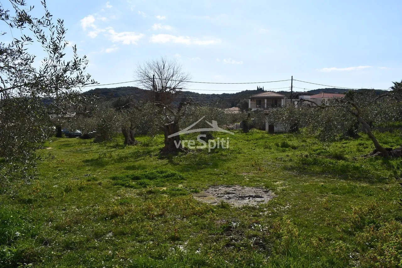 Οικόπεδο 4130τ.μ.  - 3