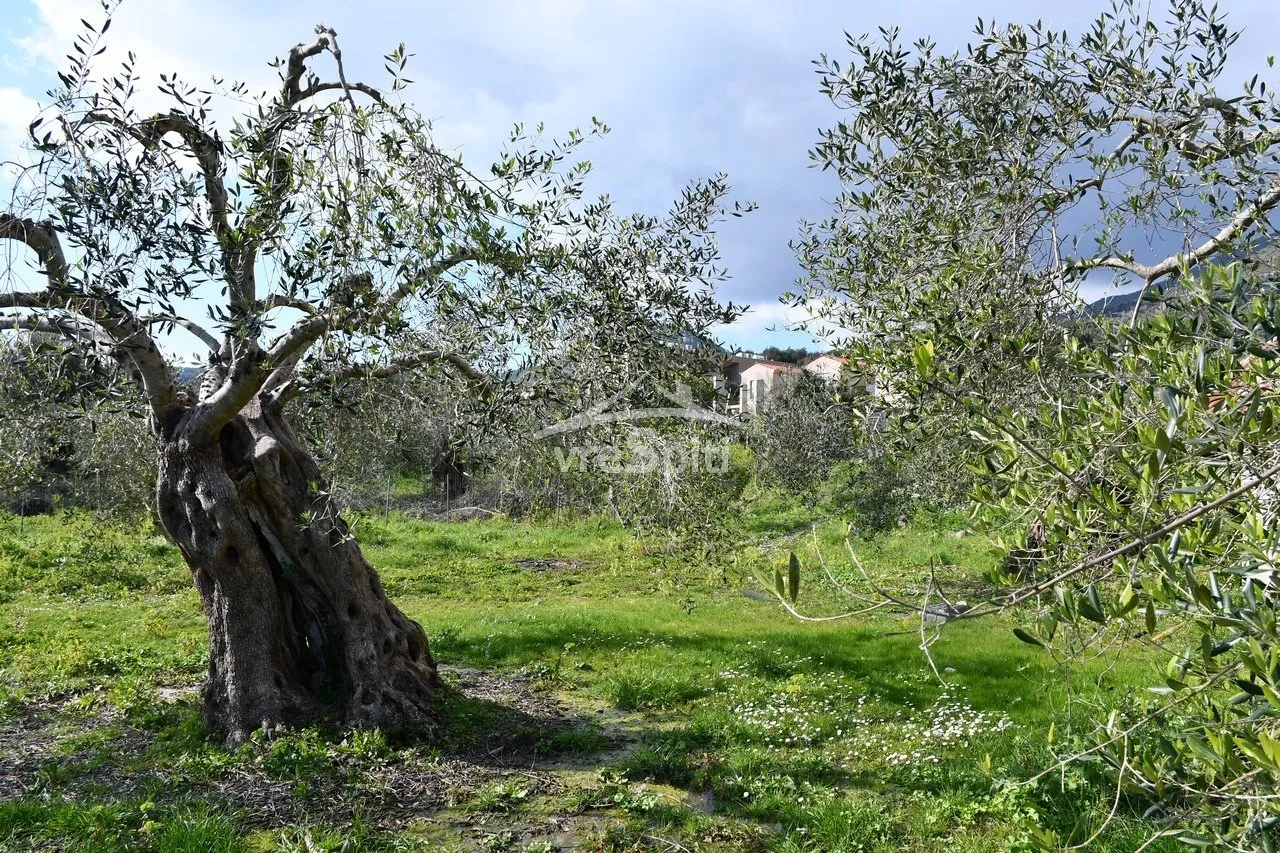 Οικόπεδο 4130τ.μ.  - 4