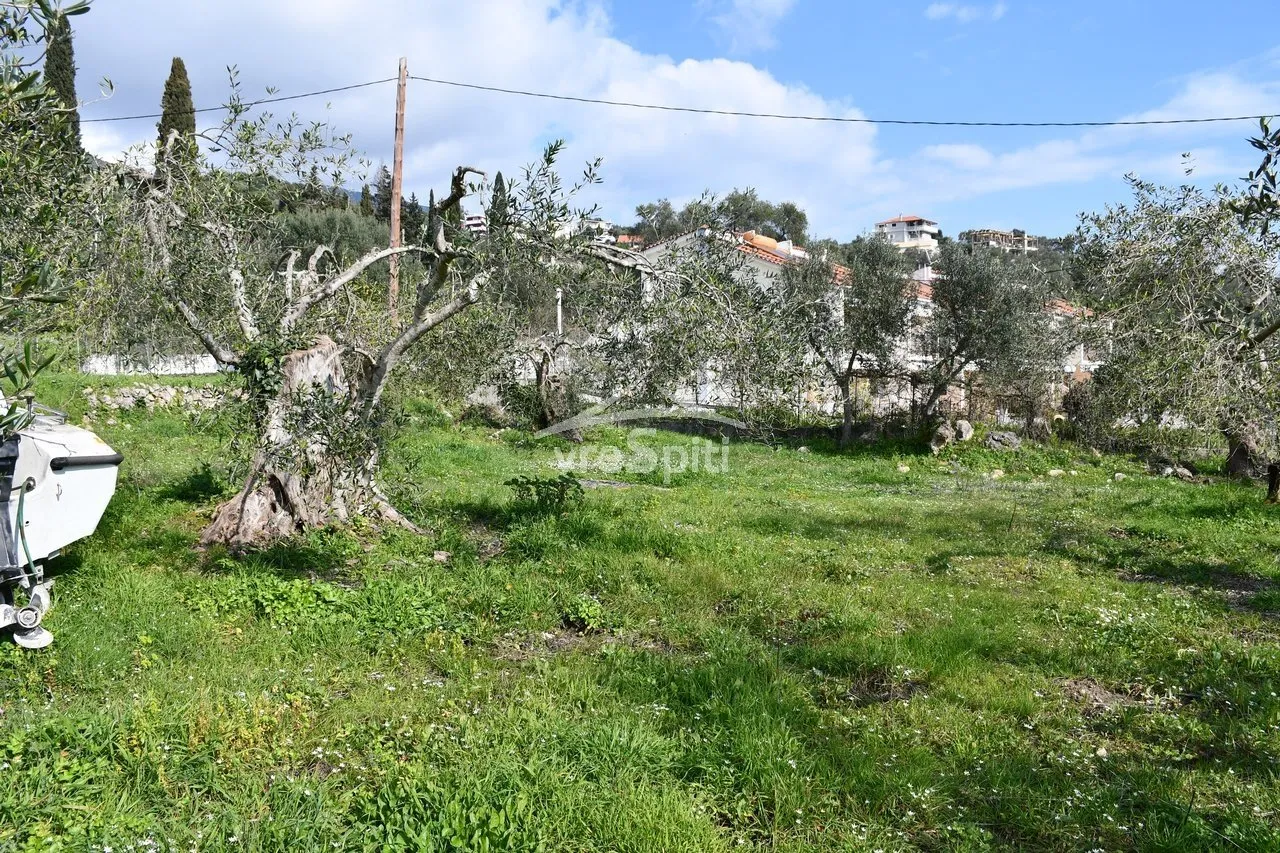 Οικόπεδο 4130τ.μ.  - 5
