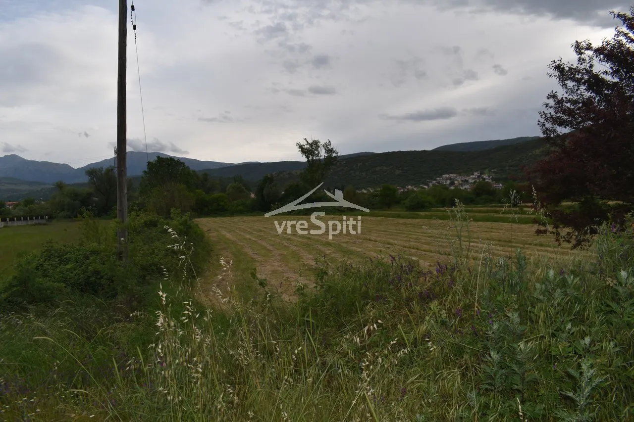 Αγροτεμάχιο 5350τ.μ.  - 3