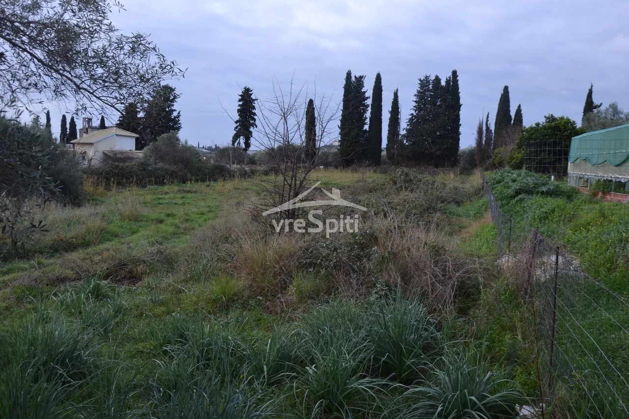 Αγροτεμάχιο 5300τ.μ.  - 3