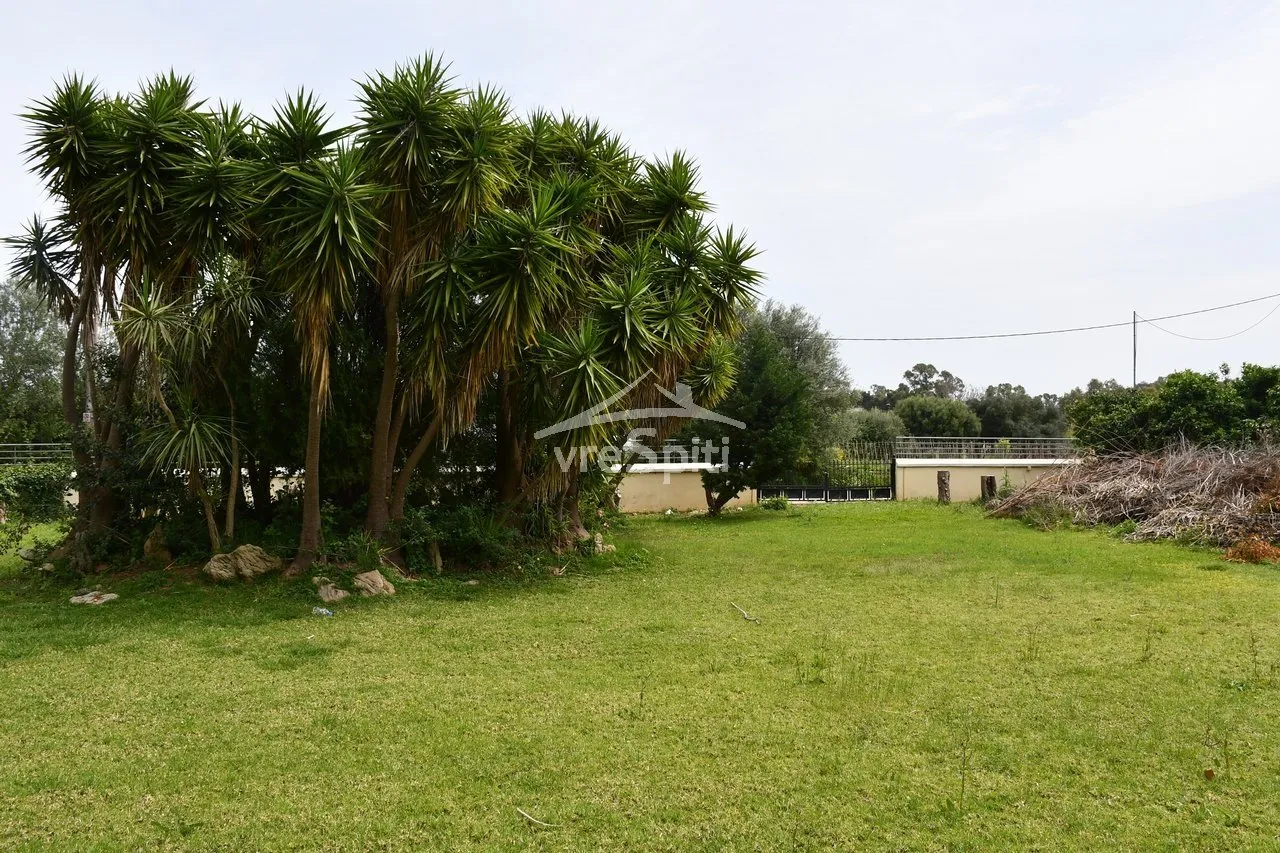 Detached house 616m²  - 2