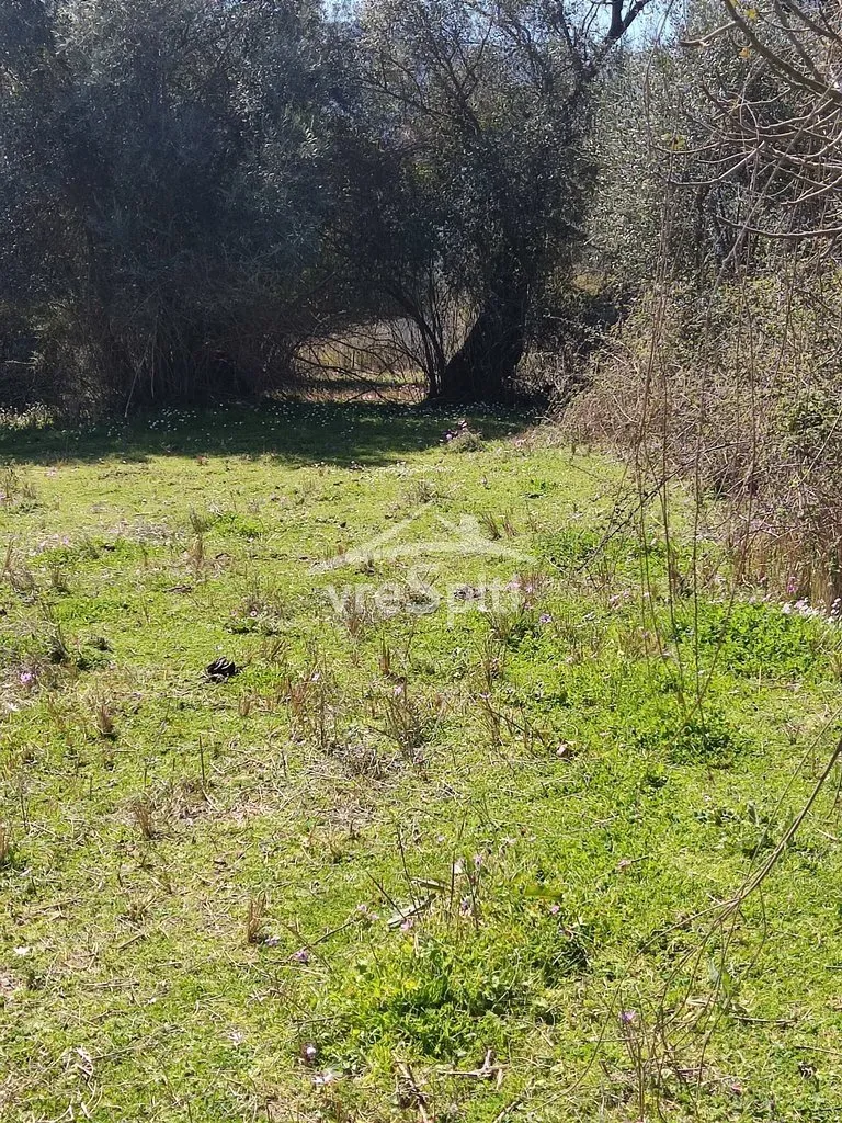 Land Parcel 5500m²  - 4