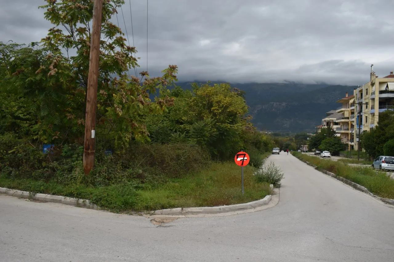 Οικόπεδο 590τ.μ.  - 3