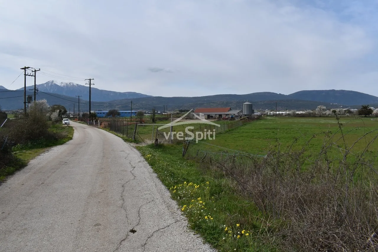 Αγροτεμάχιο 9900τ.μ.  - 5