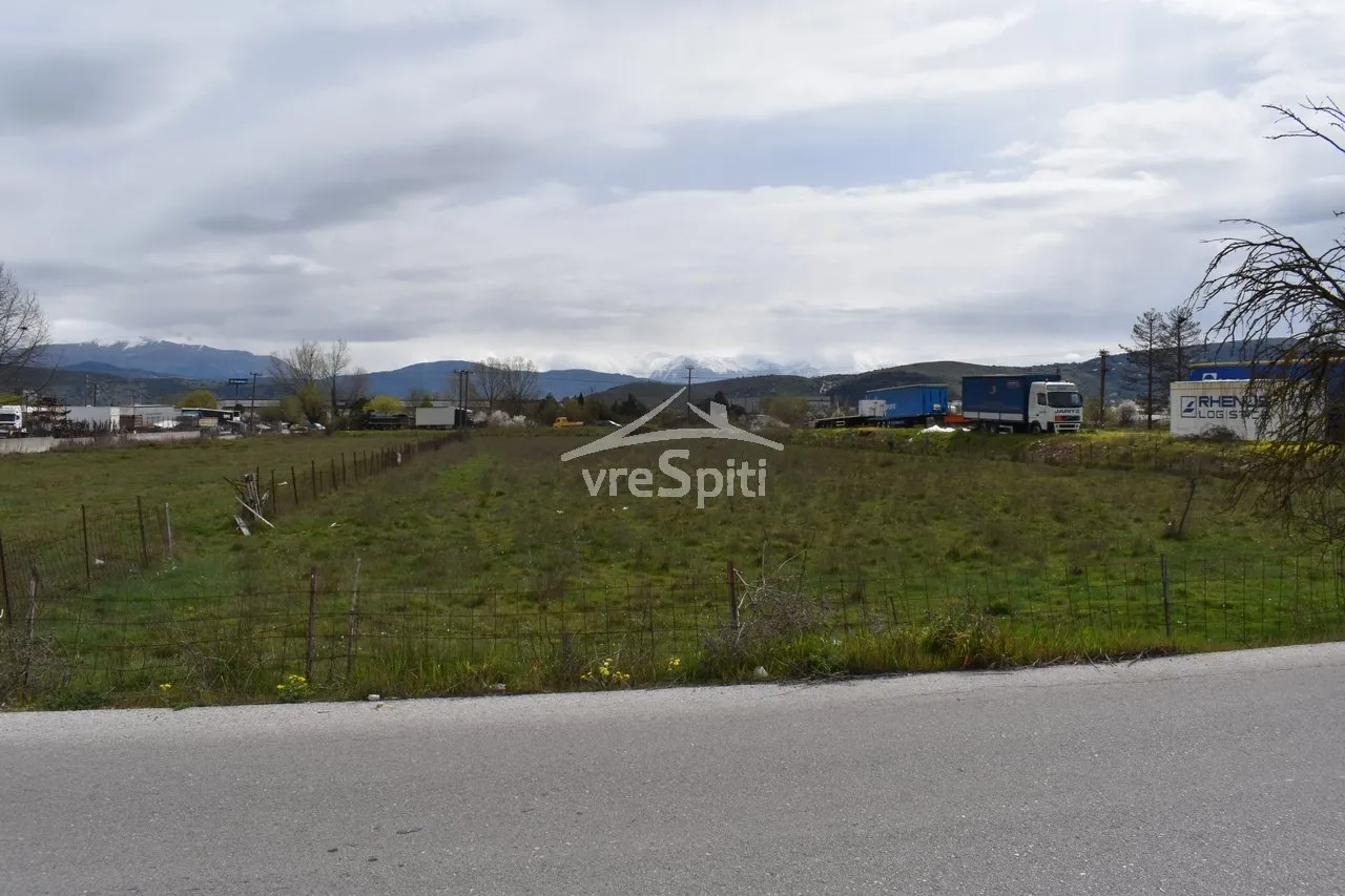 Αγροτεμάχιο 4500τ.μ.  - 2