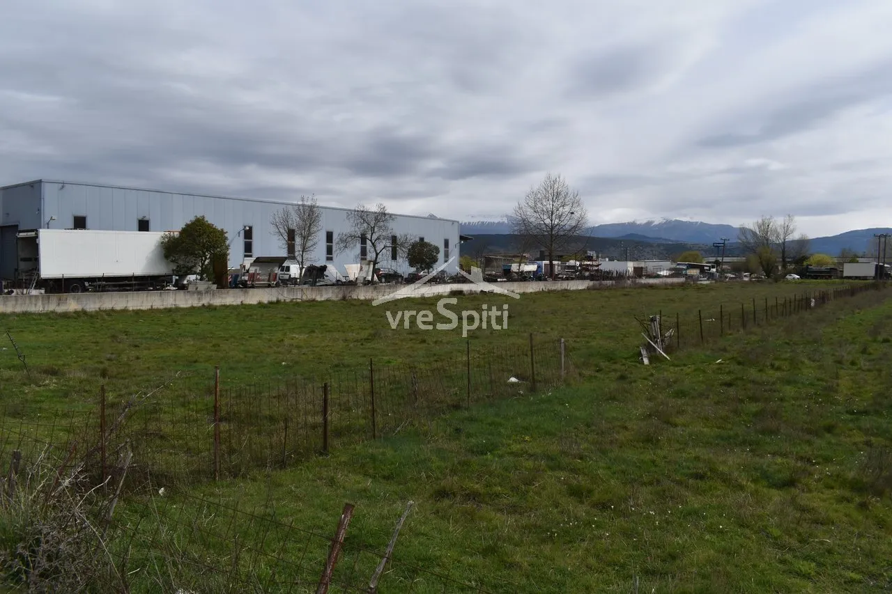 Αγροτεμάχιο 4500τ.μ.  - 3