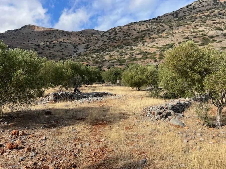 Plot 13000m²  - 4