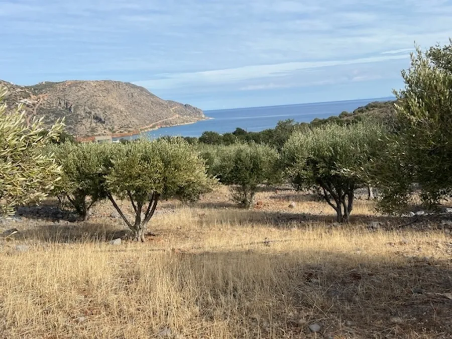 Plot 13000m²  - 5