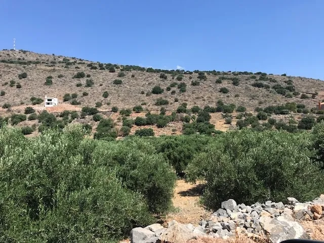 Plot 2387m²  - 4