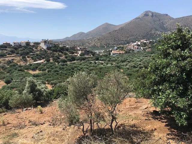 Plot 2387m²  - 5