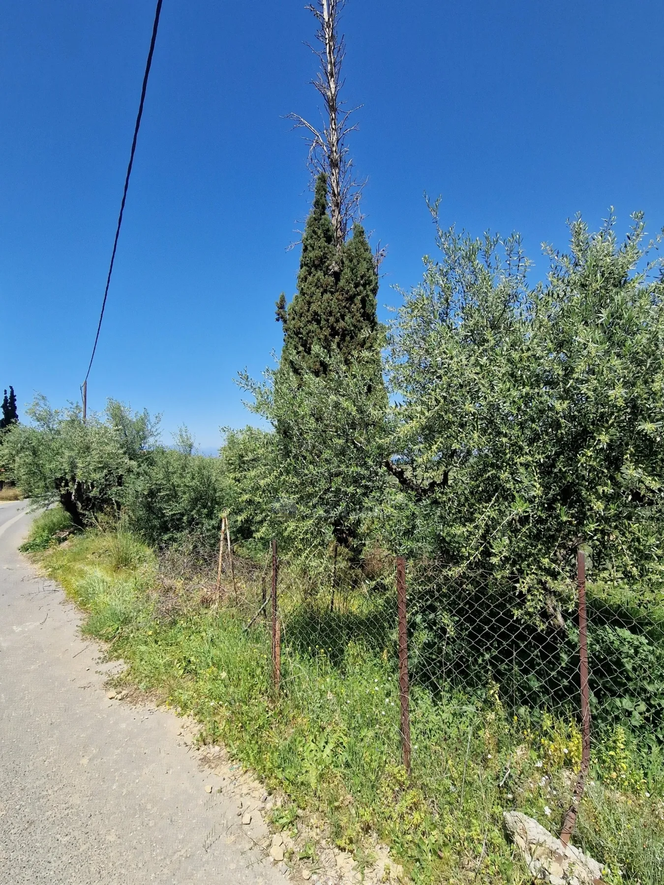 Οικόπεδο 4026τ.μ.  - 4