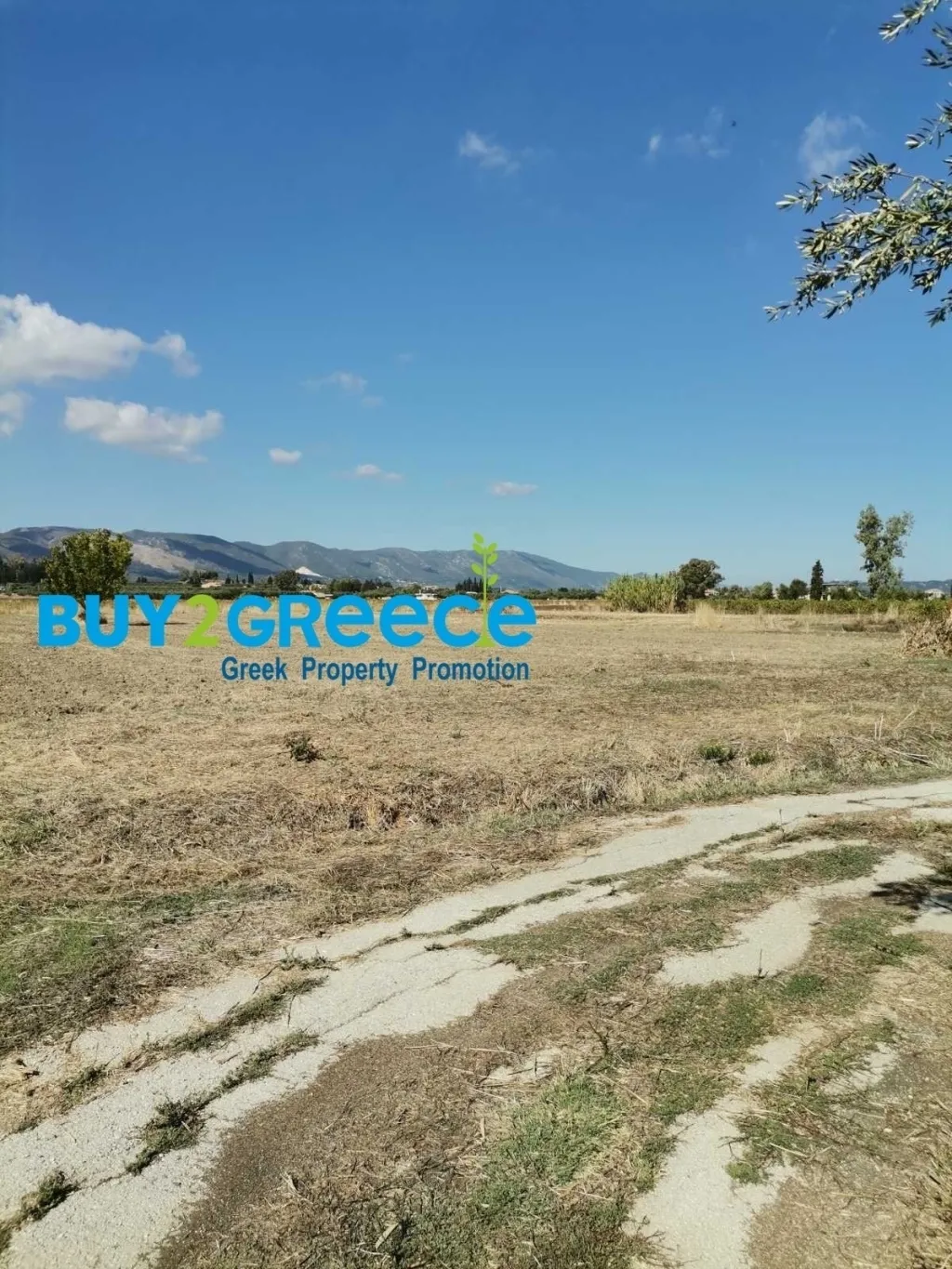 Αγροτεμάχιο 13817τ.μ.  - 5