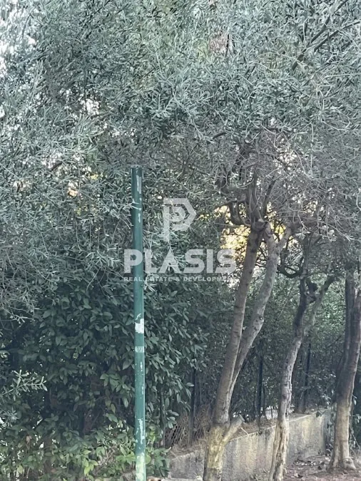 Οικόπεδο 800τ.μ.  - 2