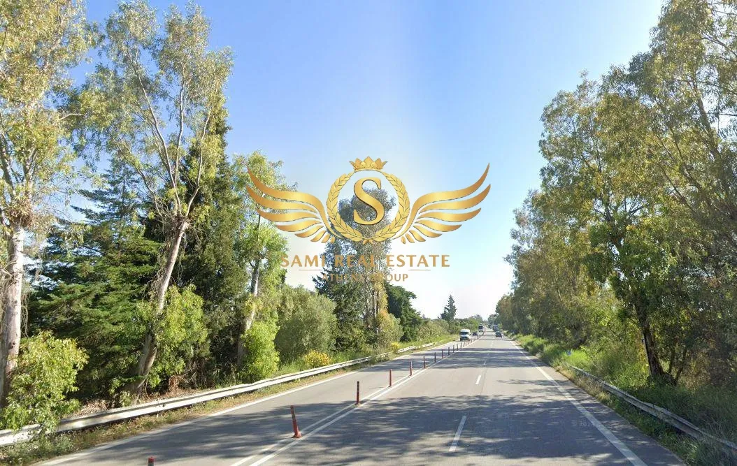 Οικόπεδο 30000τ.μ.  - 2