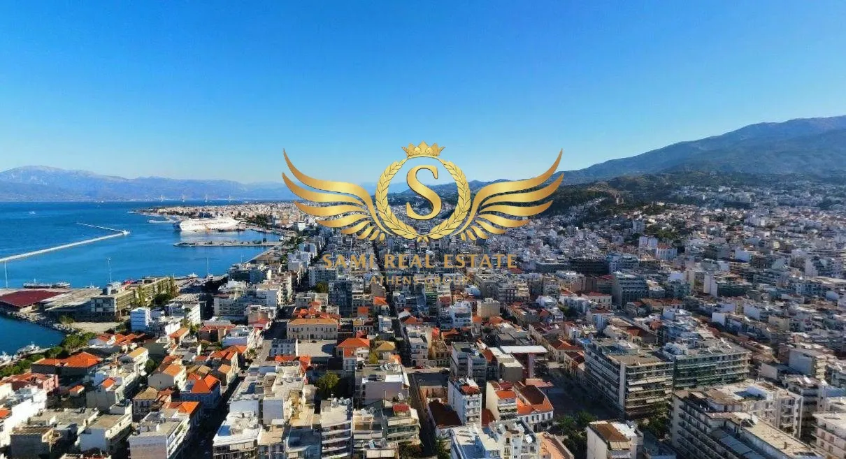 Οικόπεδο 30000τ.μ.  - 4