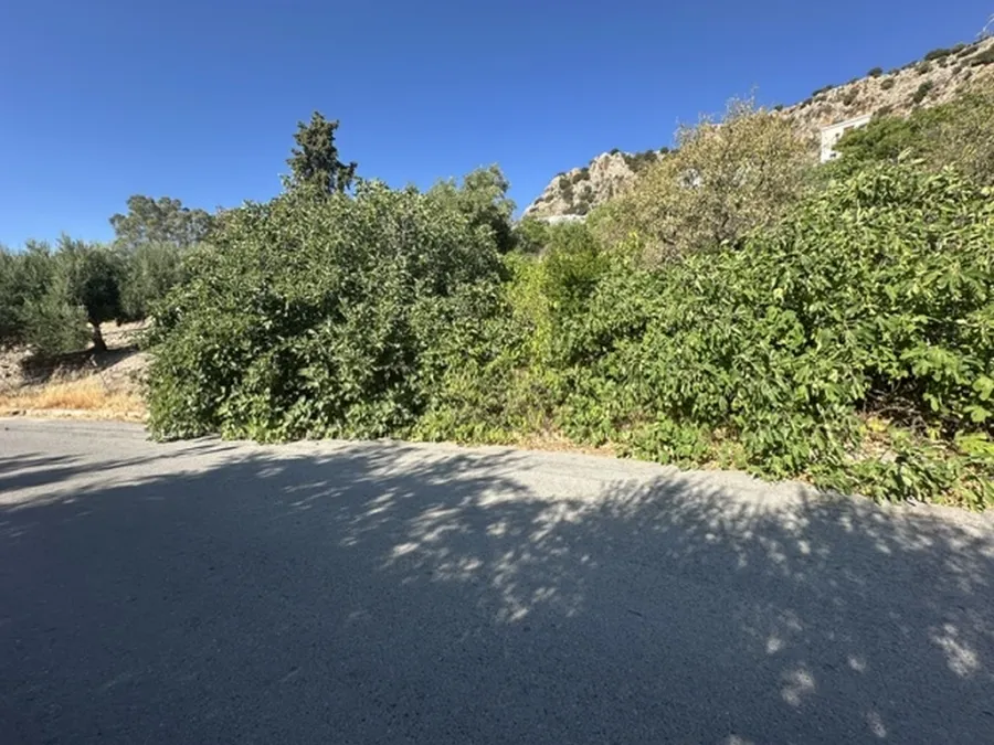 Plot 100m²  - 2