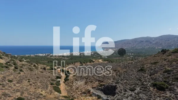 Αγροτεμάχιο 10295τ.μ.  - 2