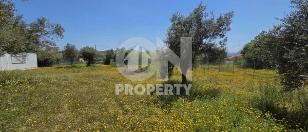Οικόπεδο 630τ.μ.  - 4