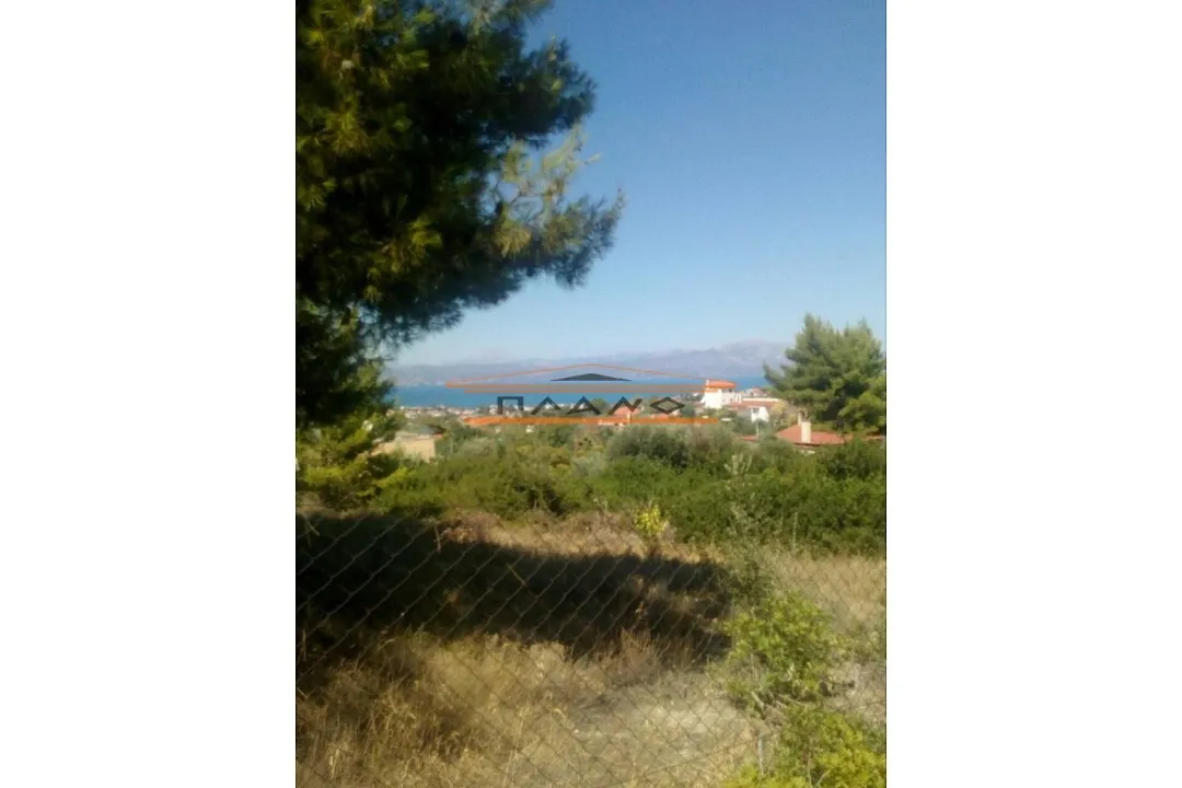 Οικόπεδο 4000τ.μ.  - 2