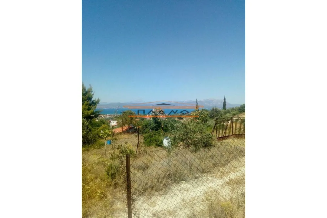 Οικόπεδο 4000τ.μ.  - 3