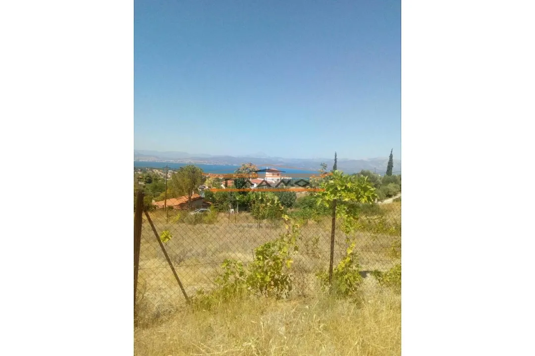 Οικόπεδο 4000τ.μ.  - 5