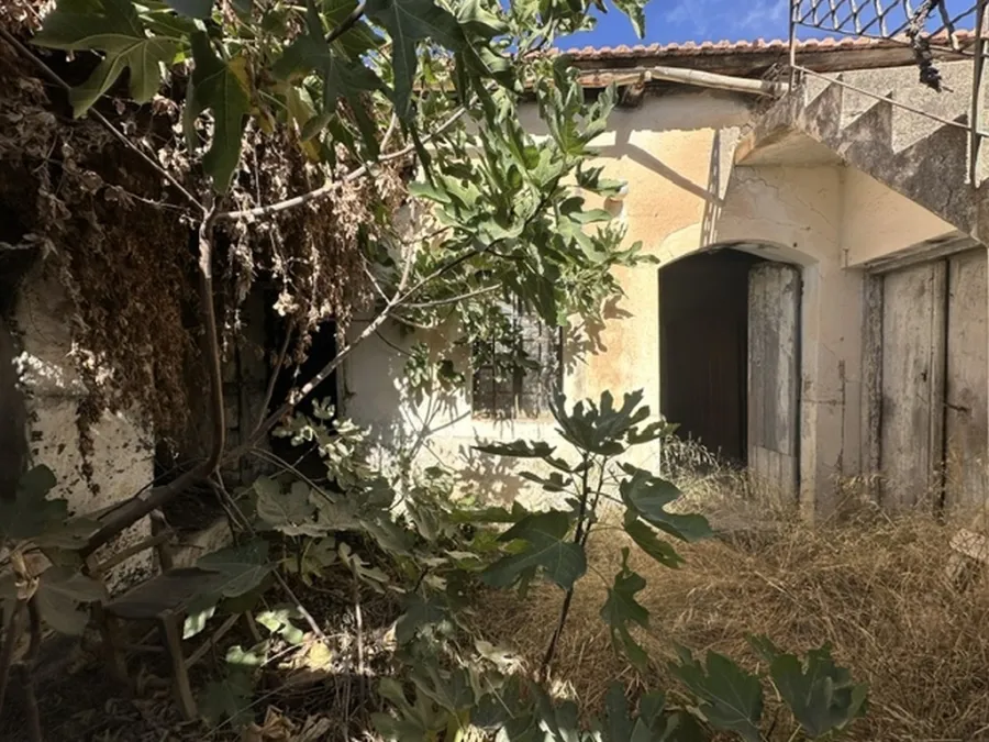 Detached house 220m²  - 5