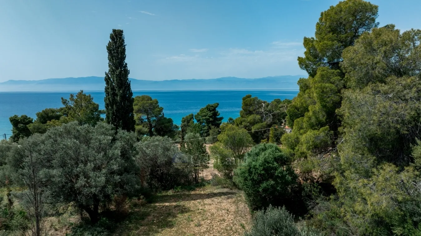 Αγροτεμάχιο 4480τ.μ.  - 4