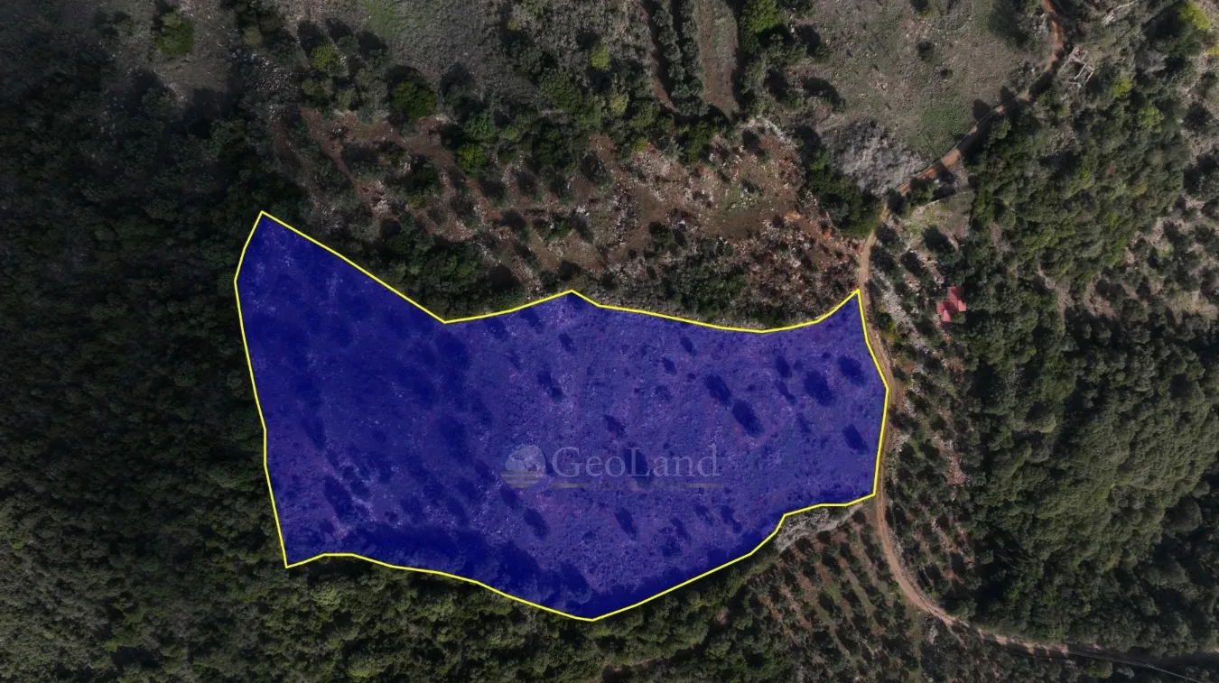 Αγροτεμάχιο 17000τ.μ.  - 2