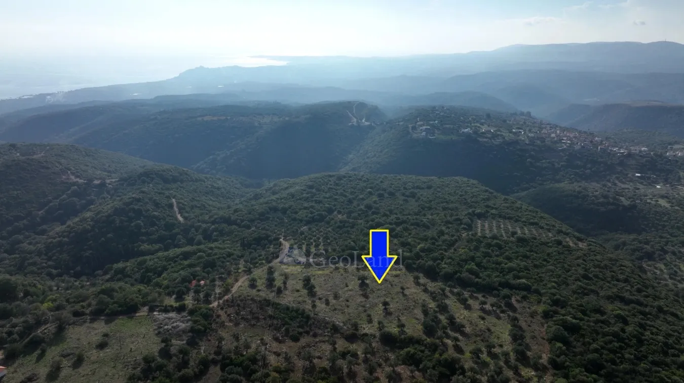 Αγροτεμάχιο 17000τ.μ.  - 3