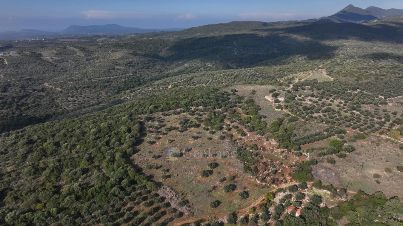 Αγροτεμάχιο 17000τ.μ.  - 4