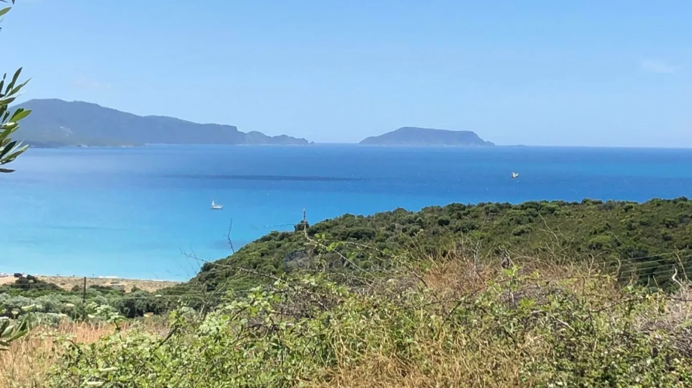 Αγροτεμάχιο 12248τ.μ.  - 2