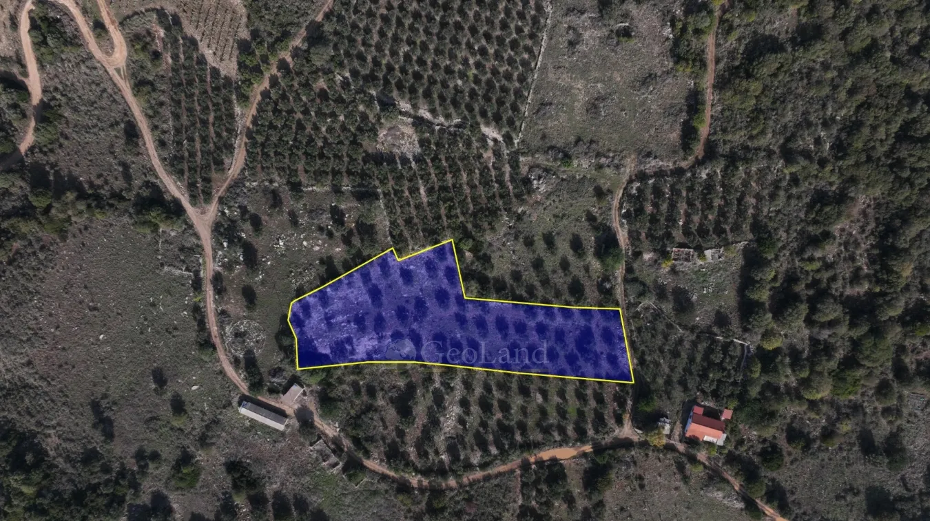 Αγροτεμάχιο 5000τ.μ.  - 3