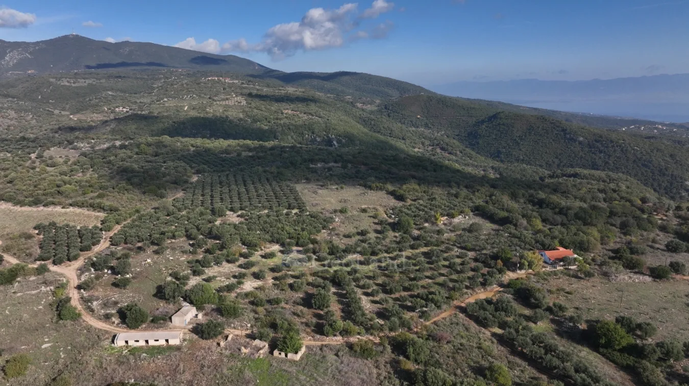 Αγροτεμάχιο 5000τ.μ.  - 4