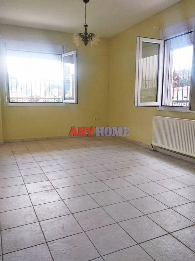 Studio 55m²  - 3