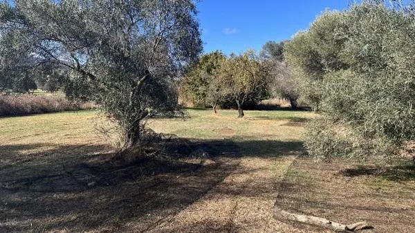 Οικόπεδο 3254τ.μ.  - 4