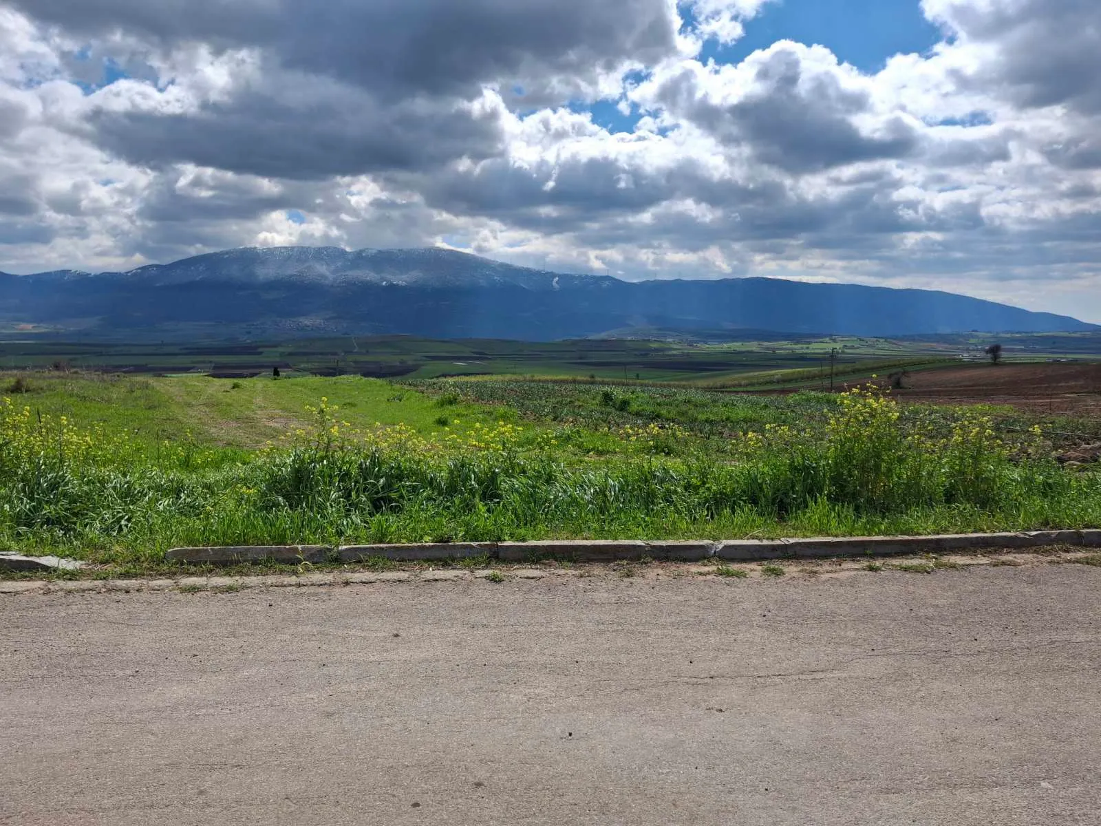 Land Parcel 5096m²  - 3