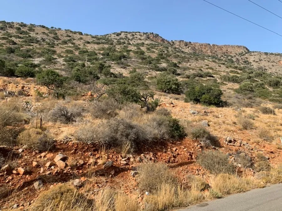Plot 20600m²  - 3