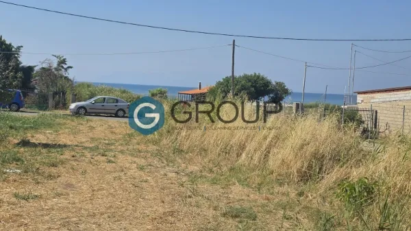 Αγροτεμάχιο 423τ.μ.  - 3