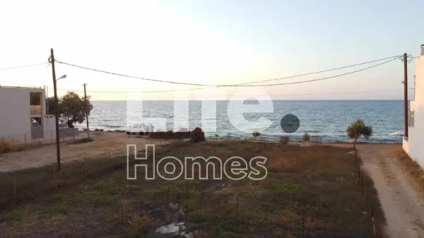 Οικόπεδο 256τ.μ.  - 2
