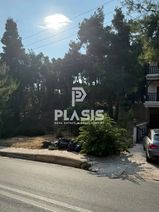 Plot 800m²  - 2