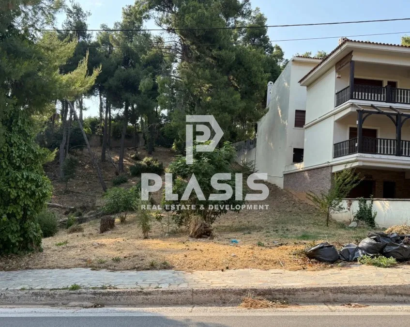 Plot 800m²  - 4