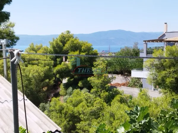 Διαμέρισμα 44τ.μ.  - 2