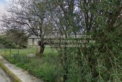 Plot 200m²  - 2