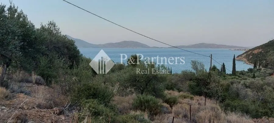 Οικόπεδο 4088τ.μ.  - 4